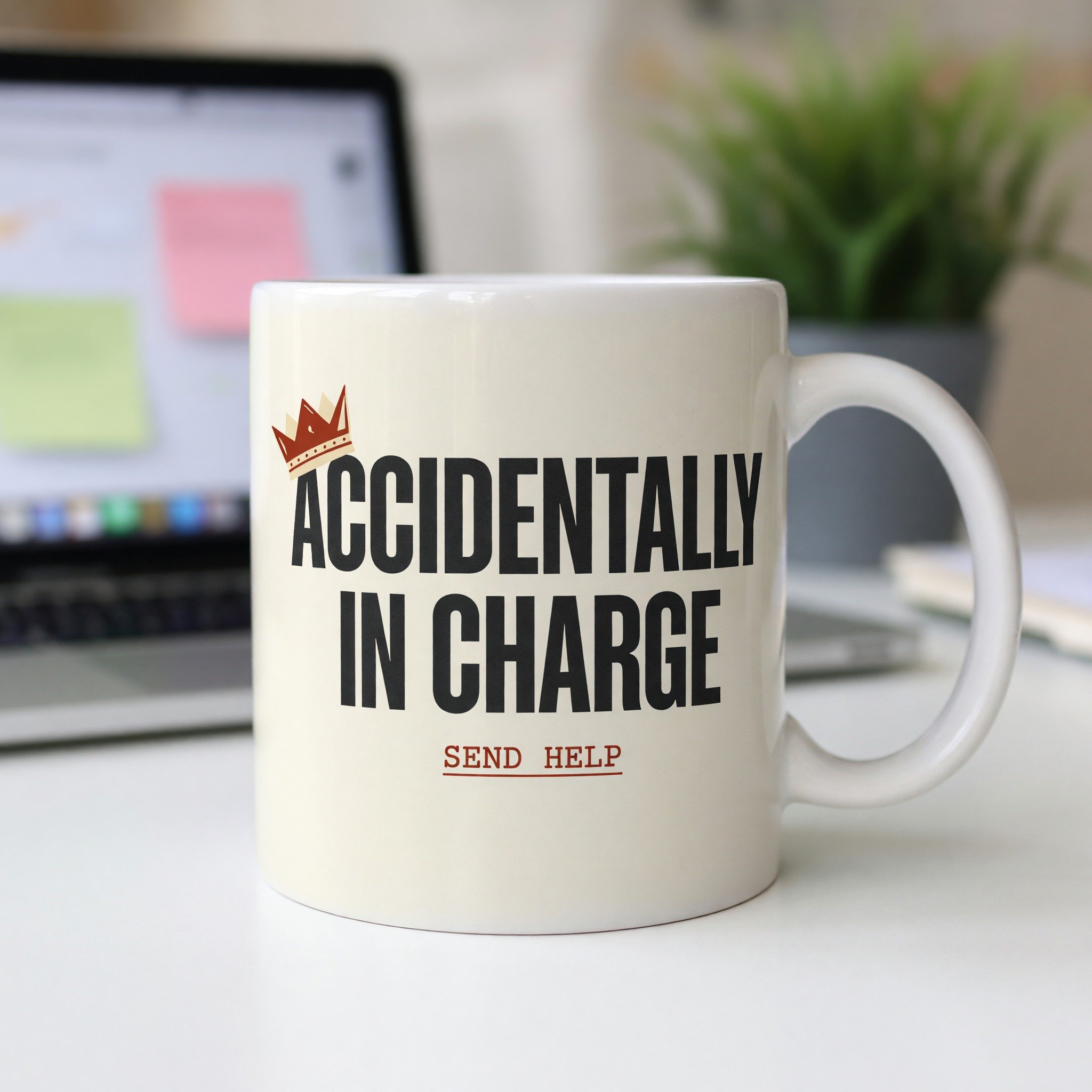 Accidentally In Charge Mug