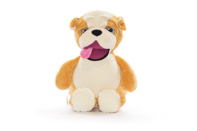 Signature Bulldog Cubby